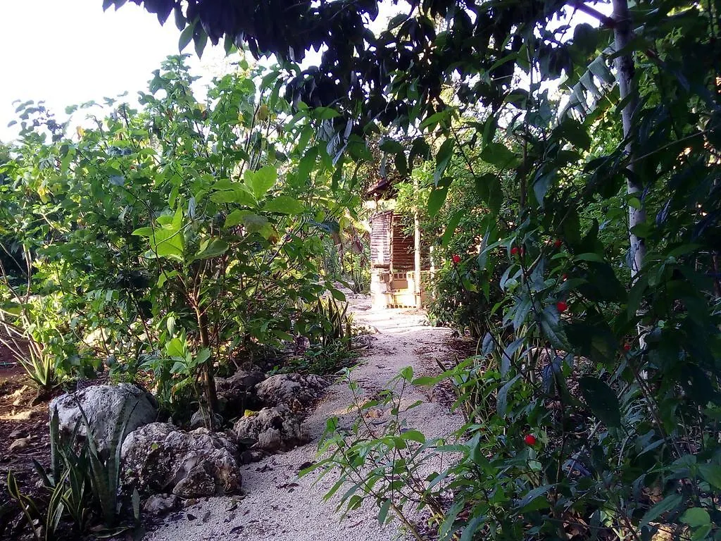 Quintana Roo National Park Campground & Hiking Hotel Francisco Uh May
