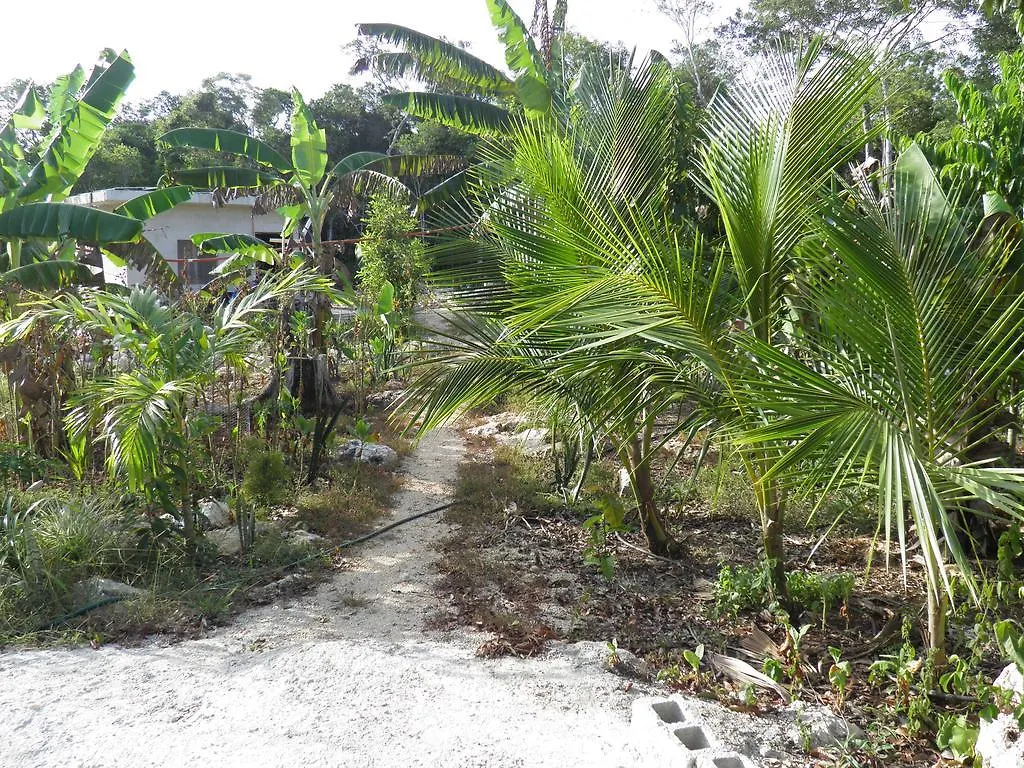 Quintana Roo National Park Campground & Hiking Hotel Francisco Uh May Parco vacanze