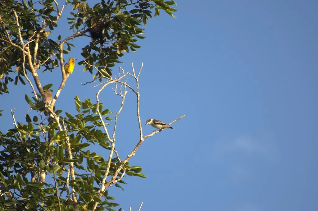 Quintana Roo National Park Campground & Hiking Hotel Francisco Uh May