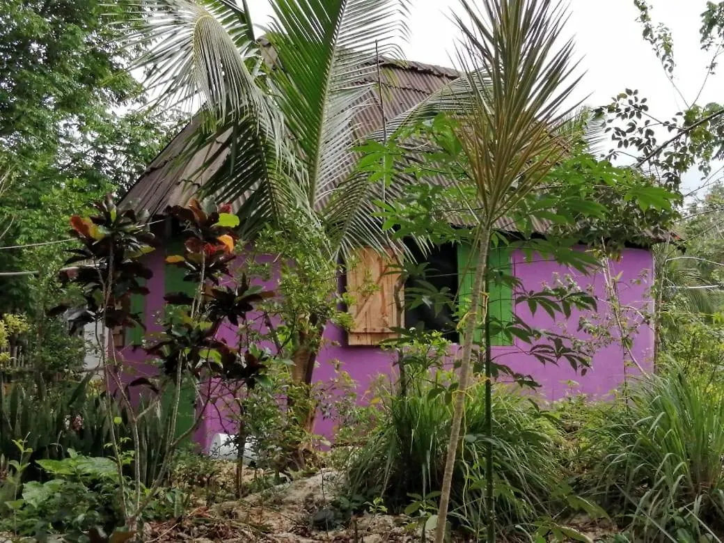 Quintana Roo National Park Campground & Hiking Hotel Francisco Uh May México