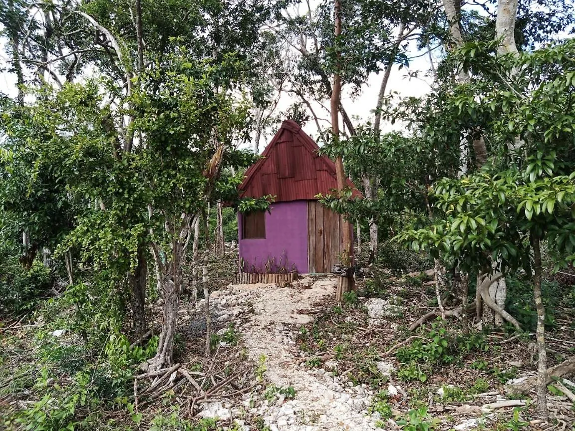Aldeamento Turístico Quintana Roo National Park Campground & Hiking Hotel Francisco Uh May