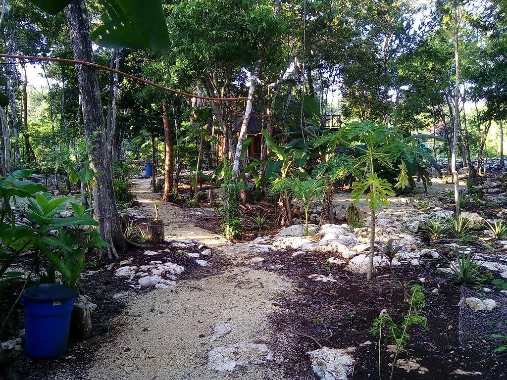 Quintana Roo National Park Campground & Hiking Hotel Francisco Uh May