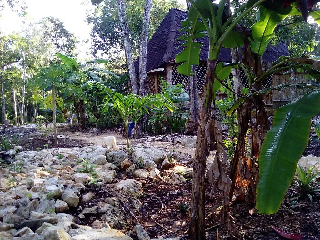 Quintana Roo National Park Campground & Hiking Hotel Francisco Uh May México