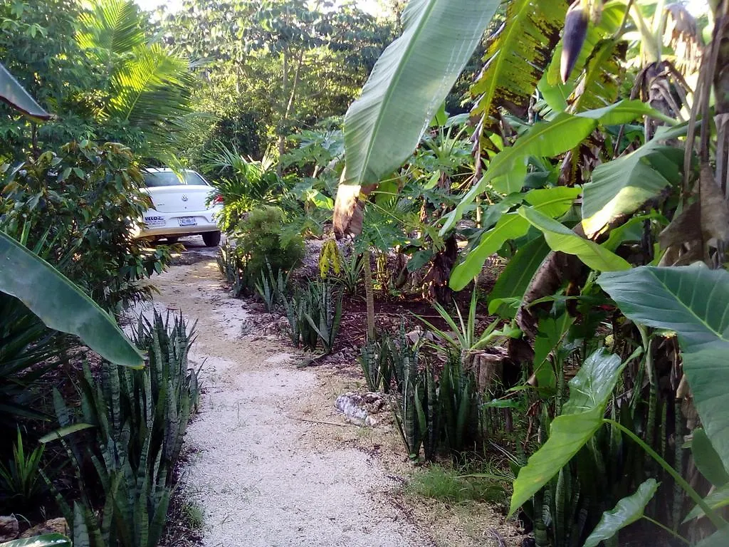 Aldeamento Turístico Quintana Roo National Park Campground & Hiking Hotel Francisco Uh May
