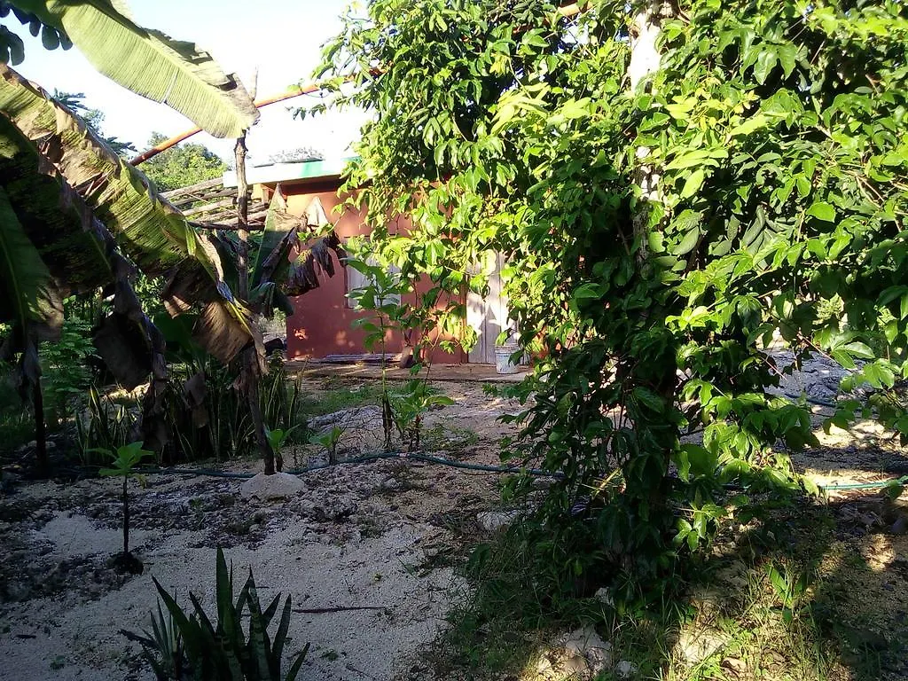 Quintana Roo National Park Campground & Hiking Hotel Francisco Uh May 2*,