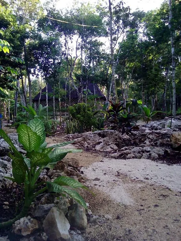 Quintana Roo National Park Campground & Hiking Hotel Francisco Uh May México