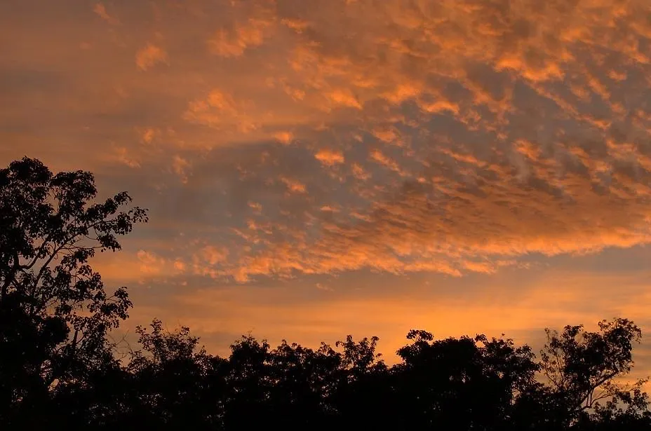 Quintana Roo National Park Campground & Hiking Hotel Francisco Uh May