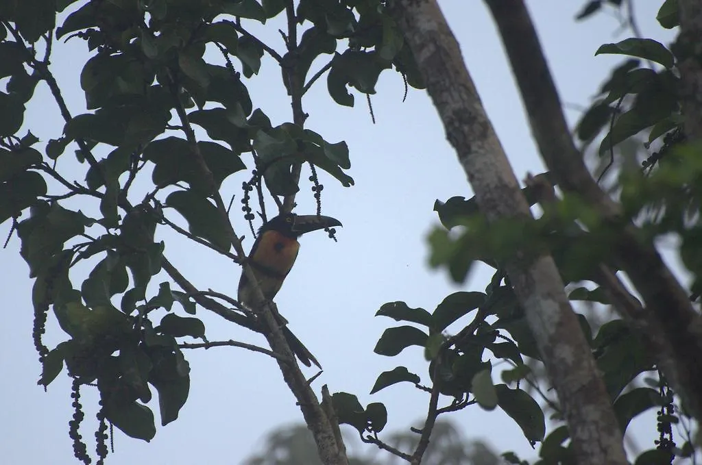 Aldeamento Turístico Quintana Roo National Park Campground & Hiking Hotel Francisco Uh May