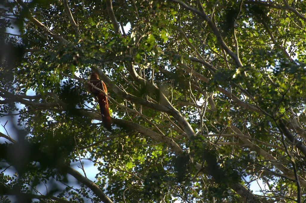 Aldeamento Turístico Quintana Roo National Park Campground & Hiking Hotel Francisco Uh May
